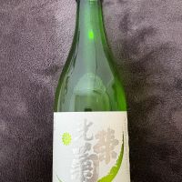 光栄菊　アナスタシアグリーン