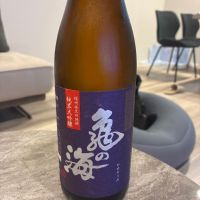 亀の海