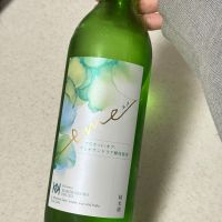 嘉美心