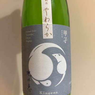 甲子のレビュー by_おはな