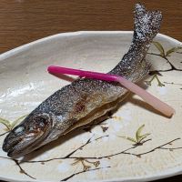 花泉のレビュー by_xhc