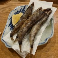 風の森のレビュー by_xhc