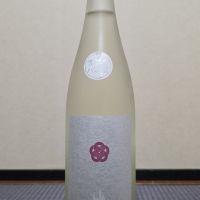 山の井