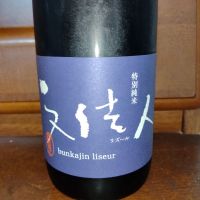 文佳人