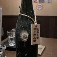 
            達磨正宗_
            なかむらさん