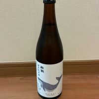 酔鯨