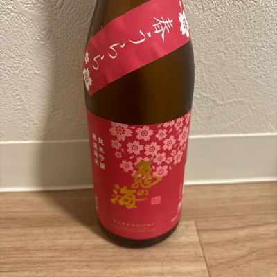 亀の海のレビュー by_翔太