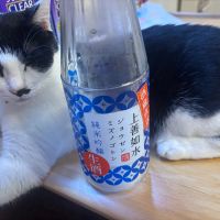 
            上善如水_
            しがない秋田の釣り人さん