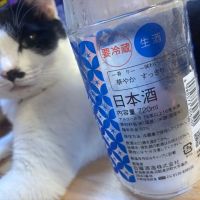 上善如水のレビュー by_しがない秋田の釣り人