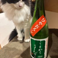 うまからまんさく