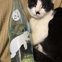 
            角右衛門_
            しがない秋田の釣り人さん