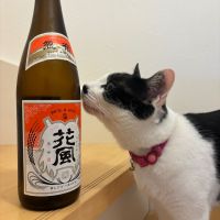 交酒 花風