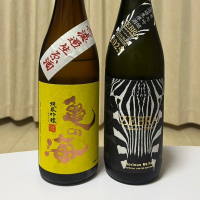 亀の海のレビュー by_なみなみ