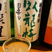 臥龍梅
