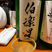 伯楽星