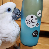 花垣 shu shu shu 微発泡 純米にごり