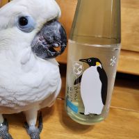 ロック酒 by Jozen