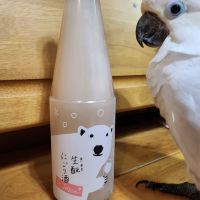 生酛にごり酒 by Jozen