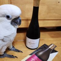ちえびじん 純米酒 KITSUKI BLANC CUVEE