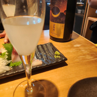 寒菊 壽限無50-Hazy Moon- 