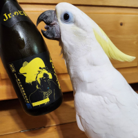Jr.のヒ蜜