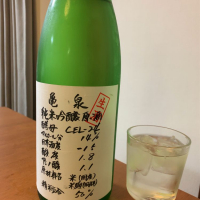 高知県の酒