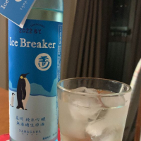 Ice Breakerのレビュー by_ピアジオ