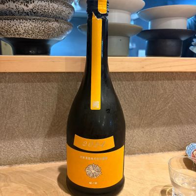 新政のレビュー by_かっぱ