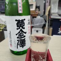 黄金澤