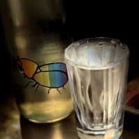 
            仙禽_
            イワナのボブさん