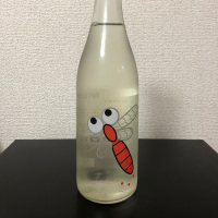 仙禽