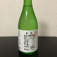 亀泉
