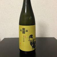 楽器正宗