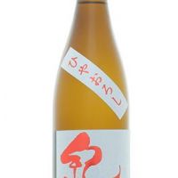 紀土