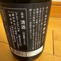 甲子のレビュー by_Teteuron