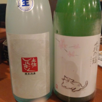 
            土佐しらぎく_
            いおりさん