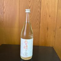 東洋美人