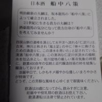 船中八策のレビュー by_ヒグマ