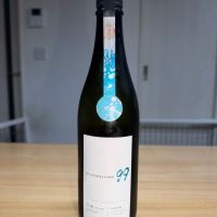 OCEAN99