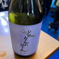 シン なんぶびじん