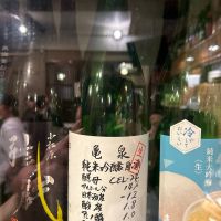 亀泉