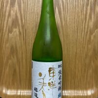 東洋美人