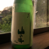 山の井