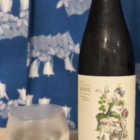 楽器正宗 オルタナ SORACHI × NELSON