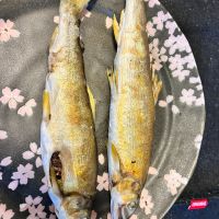 仙介のレビュー by_といぽい