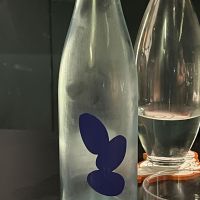 山口県の酒