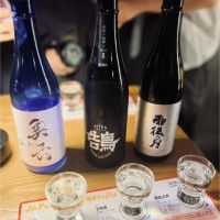 奥六
