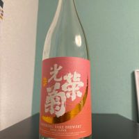光栄菊