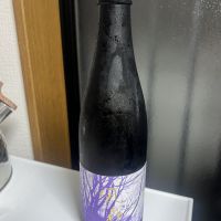 風の森