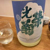 光栄菊